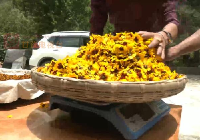 3分钟教程“阿当比鸡十三张有没有什么窍门[真的有挂]